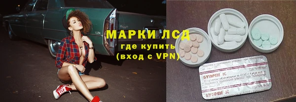 PSILOCYBIN Аркадак