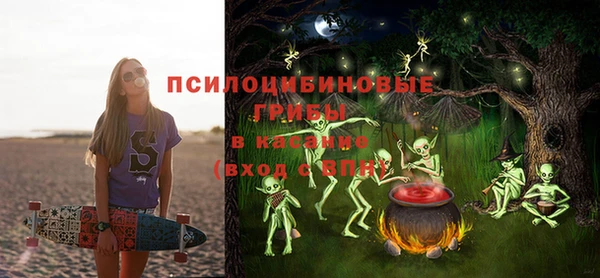 дмт Алексин
