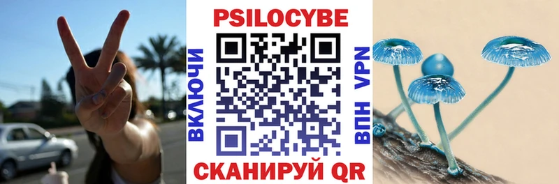 это Telegram  Белая Холуница  Галлюциногенные грибы Psilocybine cubensis 